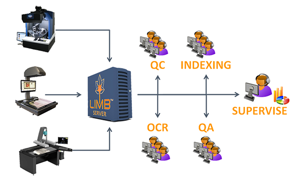 LIMB Server graphic